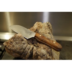 Petit Santoku Noyer Stabilisé